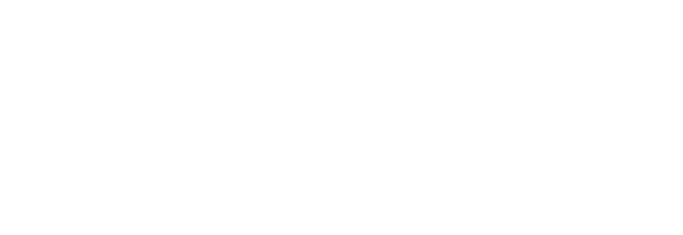 MUSE of city